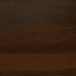 Katalox (Swartzia spp.), madera dura casi negra