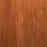 Cebil (Anadenanthera colubrina)