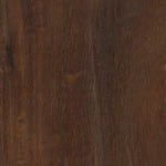 Gidgee (Acacia cambagei)