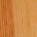 madera de pino pinaster