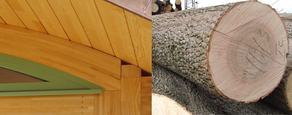 vigas de madera de fresno