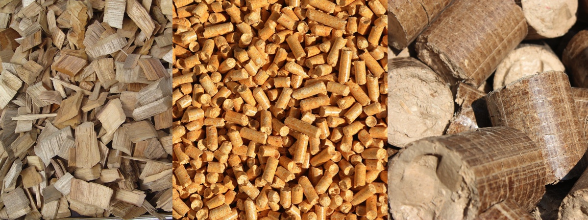 Biomasa astillas pellets briquetas