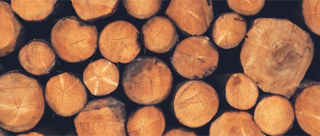 Proceso de transformación de la madera; desde el árbol hasta el producto  final | Maderea