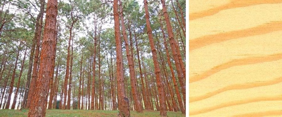 madera de pino amarillo