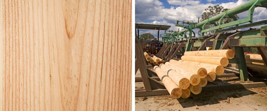 todas las características de la madera de pino radiata
