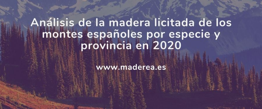 Análisis de la madera licitada de los montes españoles en 2020
