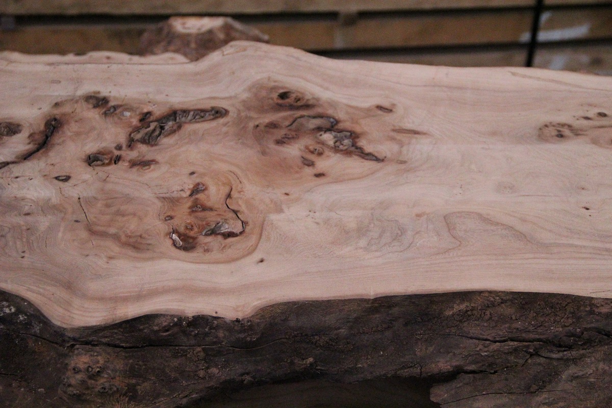 cómo cuidar rodajas de madera