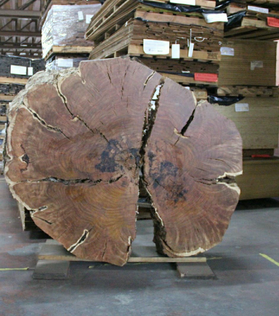 dónde comprar rodajas de madera