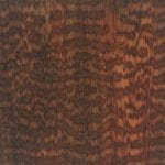 Snakewood (Brosimum guianensis)