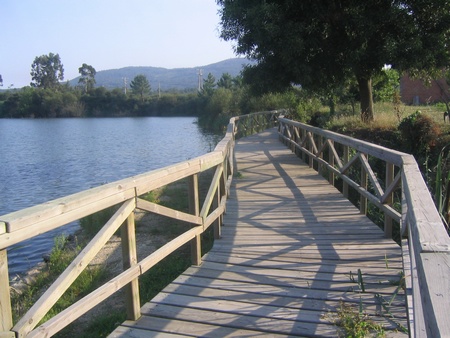 madera para uso exterior