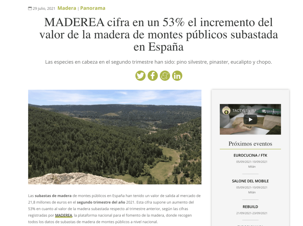 Maderea cifra un incremento del valor de la madera de montes públicos subastada en España