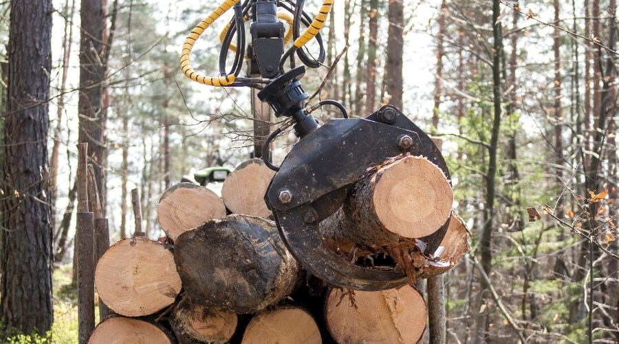 Empresas dedicadas a la extracción de la madera
