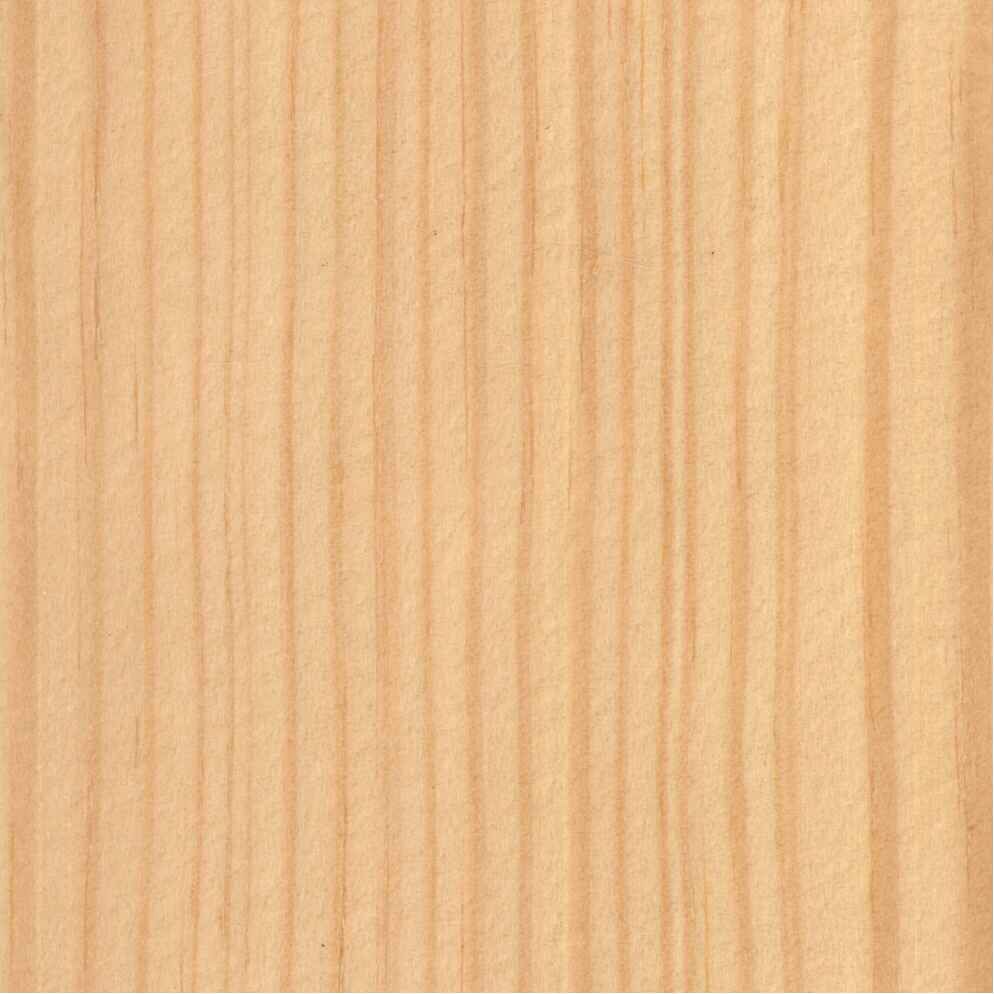 Cuáles son las características y propiedades de la madera del Pino Gallego