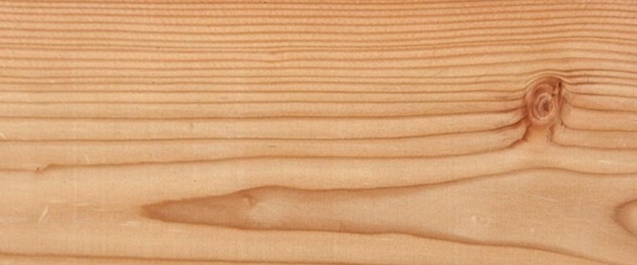 Cuáles son los usos de la madera aserrada de alerce