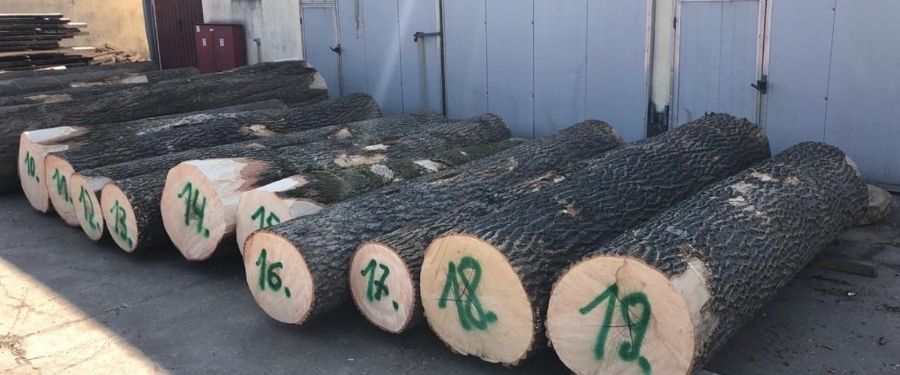Madera en rollo de roble