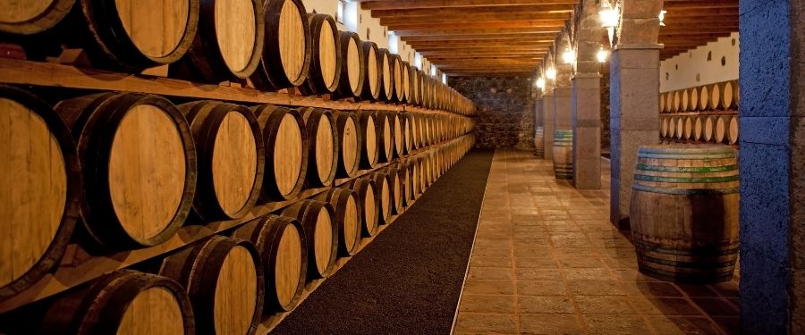 barricas de madera para vino