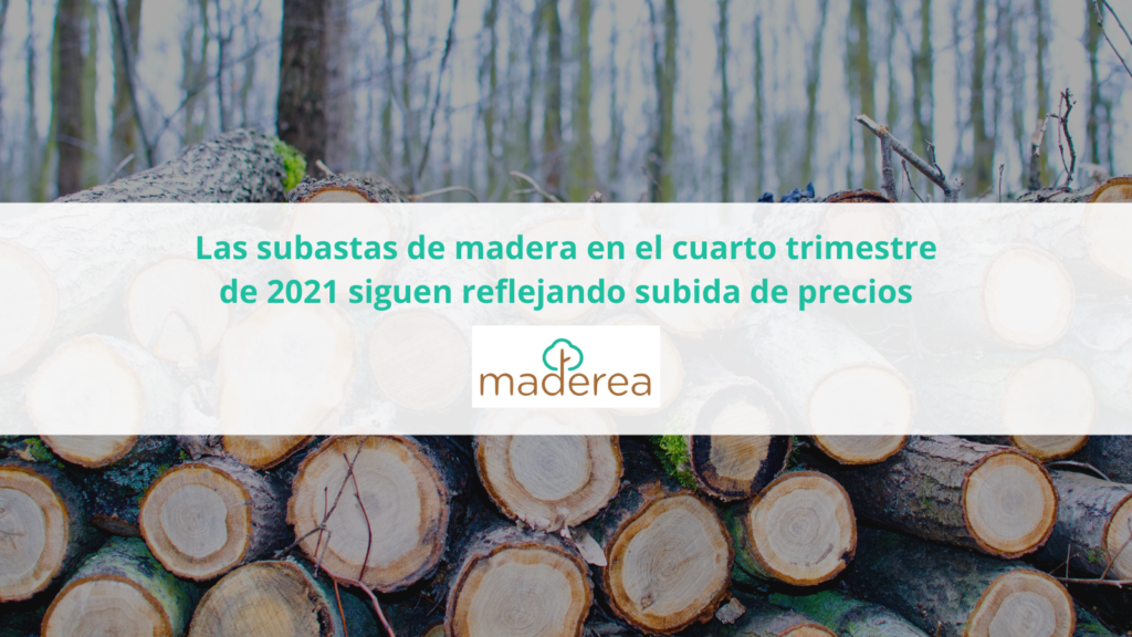 Las subastas de madera generan 33,5 millones de euros en el cuarto trimestre de 2021