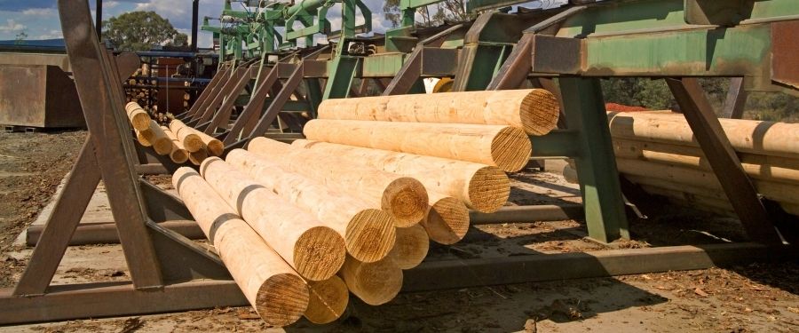 Productos obtenidos del aserradero de pino radiata