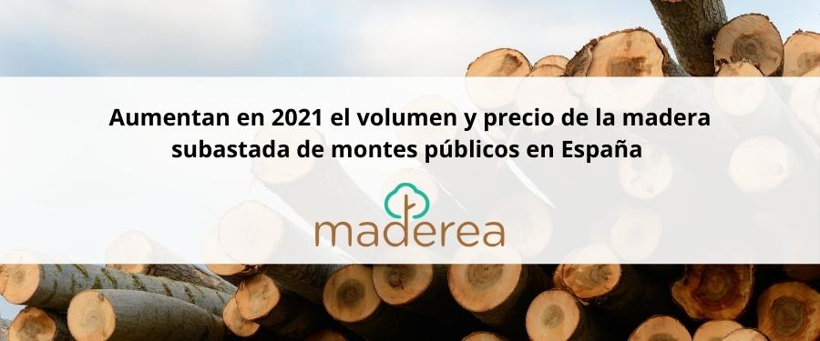 Aumentan en 2021 volumen y precio de la madera subastada de montes públicos en España