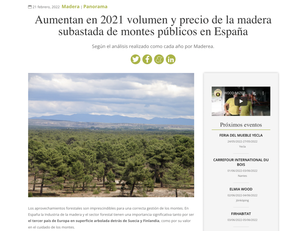 Aumentan en 2021 volumen y precio de la madera subastada de montes públicos en España