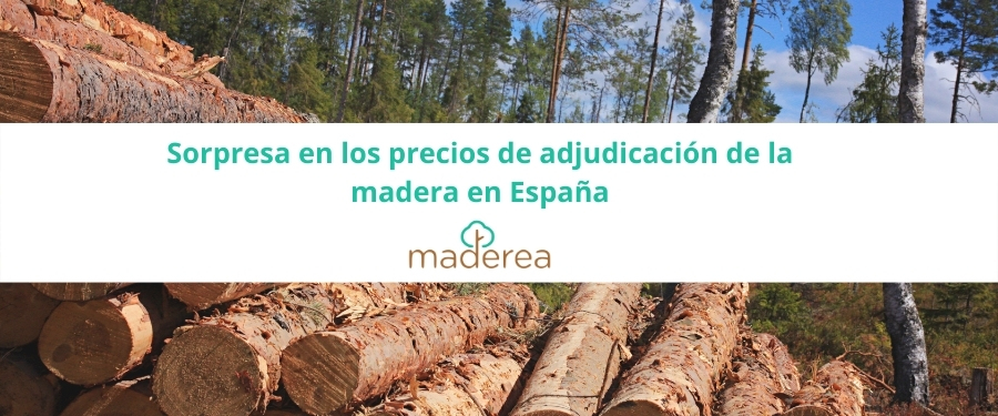 adjudicacion de la madera en España