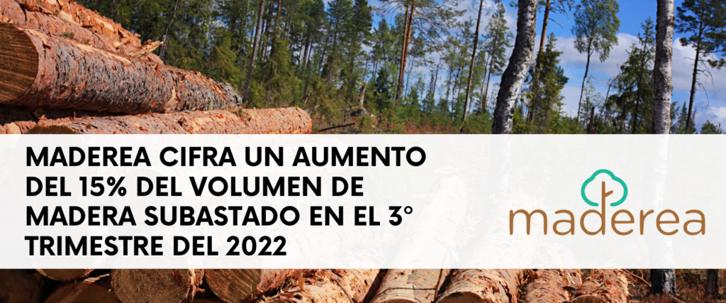 Aumento del 15% del volumen de madera subastado en el 3º trimestre del 2022