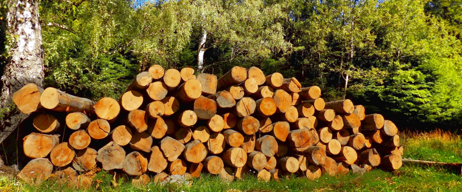rematantes forestales o de madera