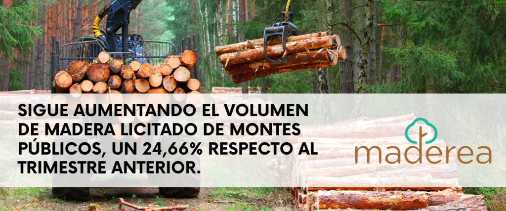 Sigue aumentando el volumen de madera licitado de montes públicos, un 24,66% respecto al trimestre anterio