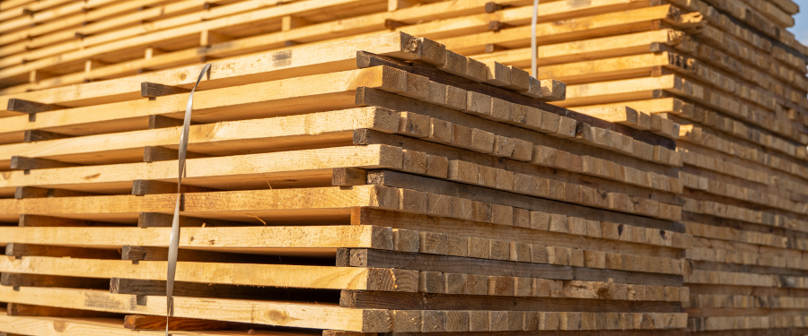 Características y usos destacados de la madera de pino gallego