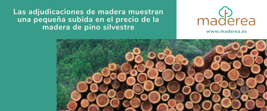 subida en el precio de la madera de pino