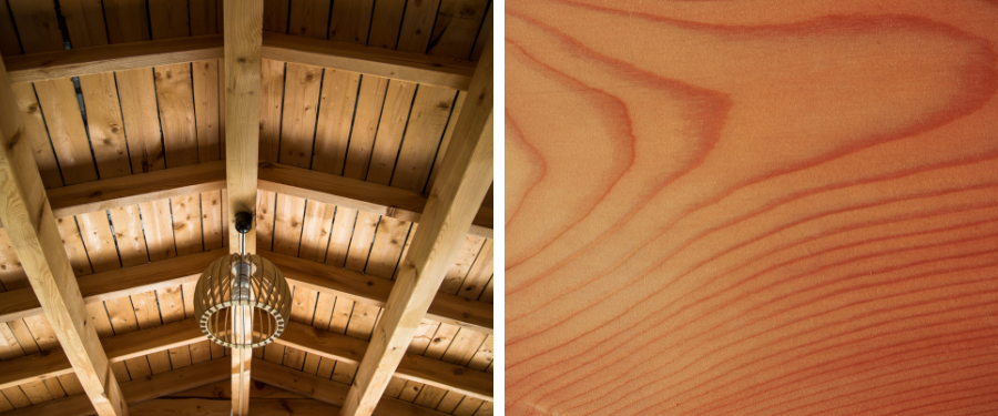 Proveedores de madera de alerce