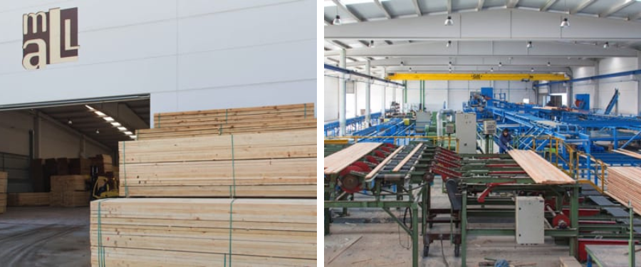 Proveedores de madera de pino radiata