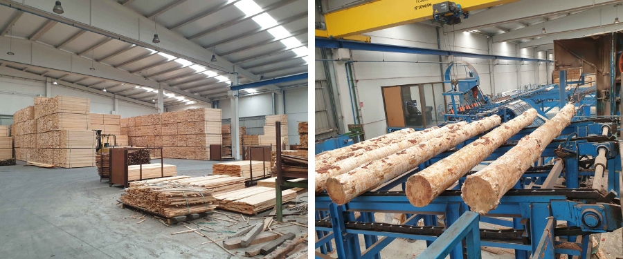 Aserradero de pino radiata