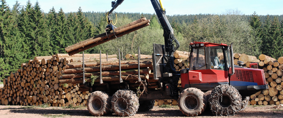 Empresas dedicadas a la realización de aprovechamientos forestales