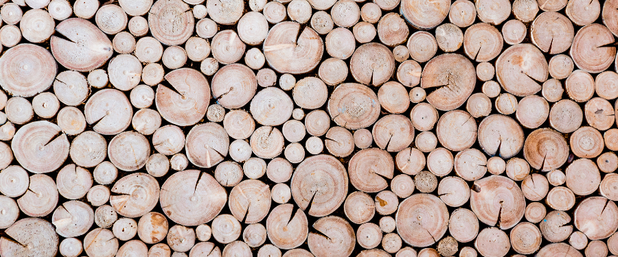 especies de madera más utilizadas en el mundo