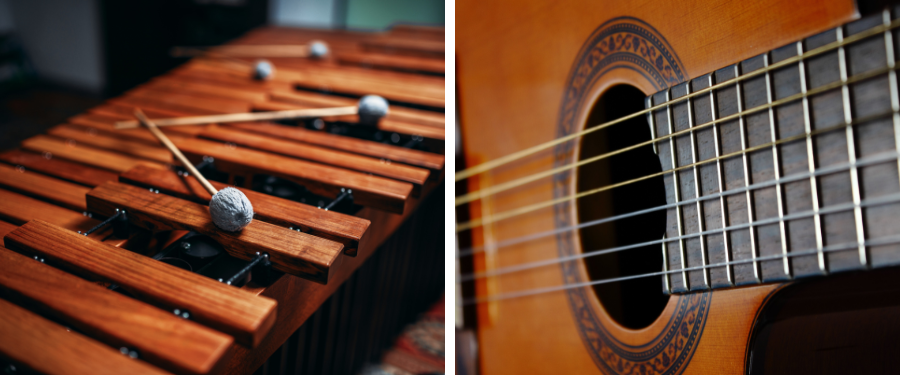 3 especies de madera con mejores propiedades acústicas