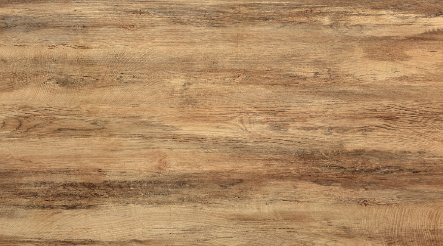 El roble (Quercus spp.)