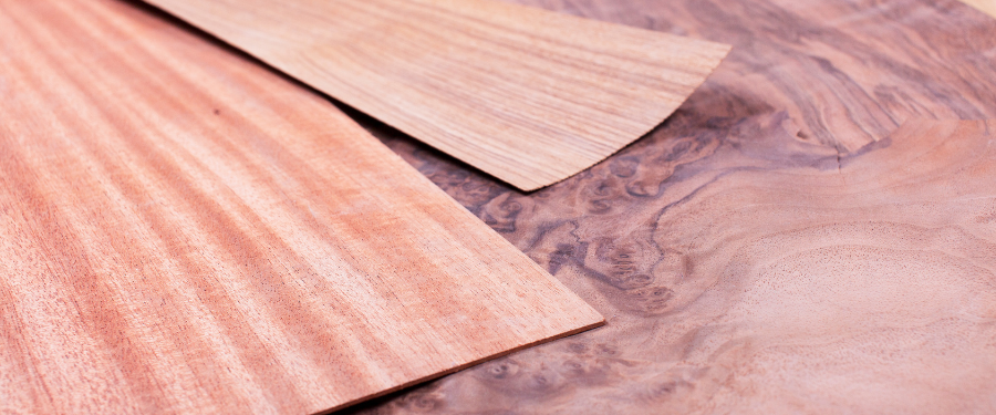 Las 7 especies de madera más caras del mundo