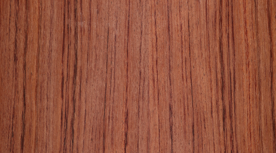 Madera de Marfil Rojo Madera de Marfil Rojo