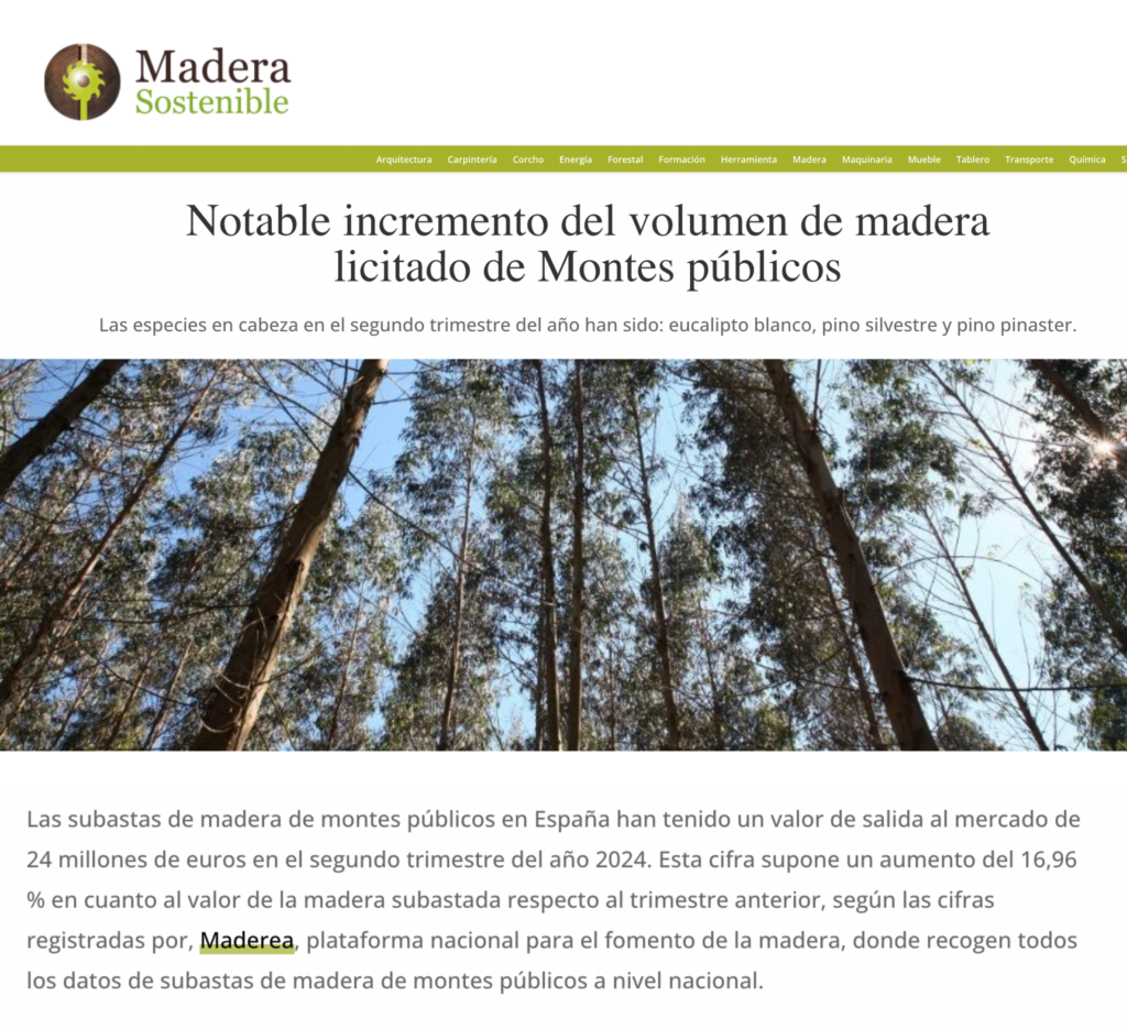 Notable incremento del volumen de madera licitado de Montes públicos