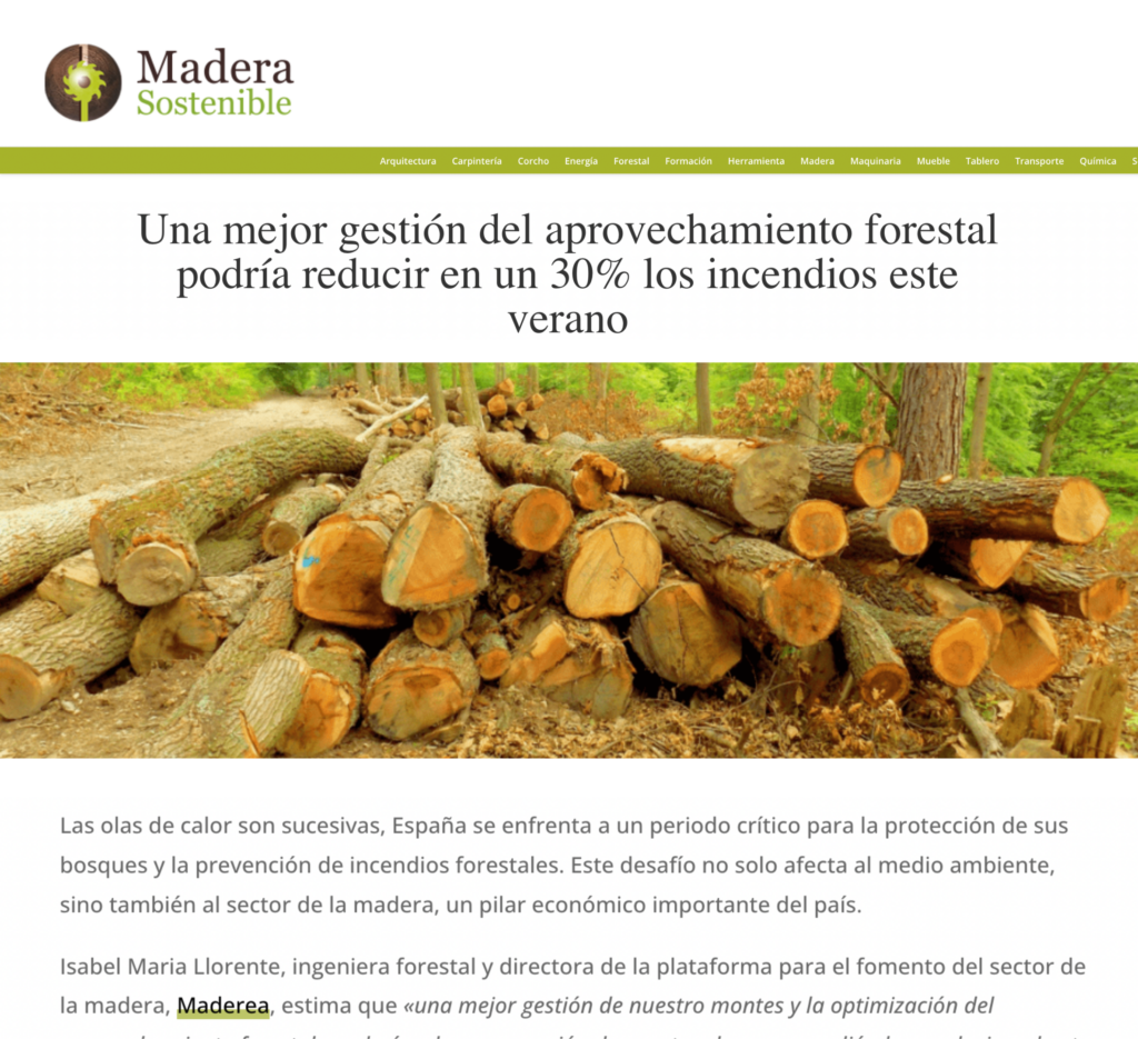 Una mejor gestión del aprovechamiento forestal podría reducir en un 30% los incendios este verano