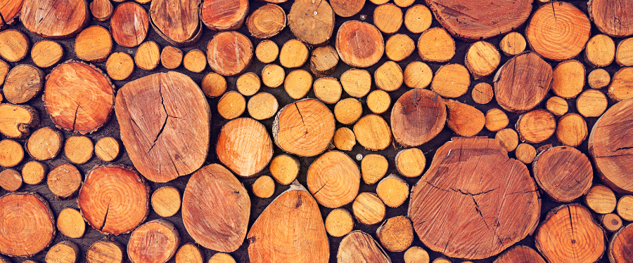 10 Especies de madera desconocidas y sus aplicaciones