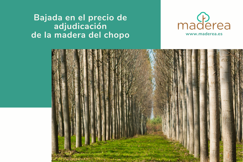 Cabecera noticia adjudicaciónes