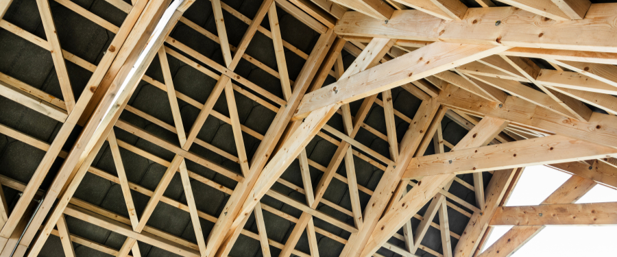 Las 5 especies de madera más flexibles