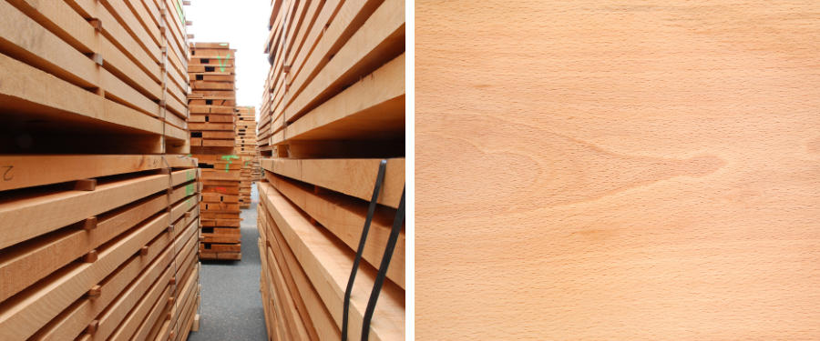 Proveedores de madera de haya aserrada