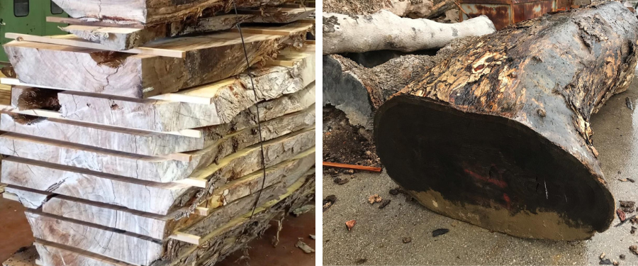 Aplicaciones profesionales de la madera de saman