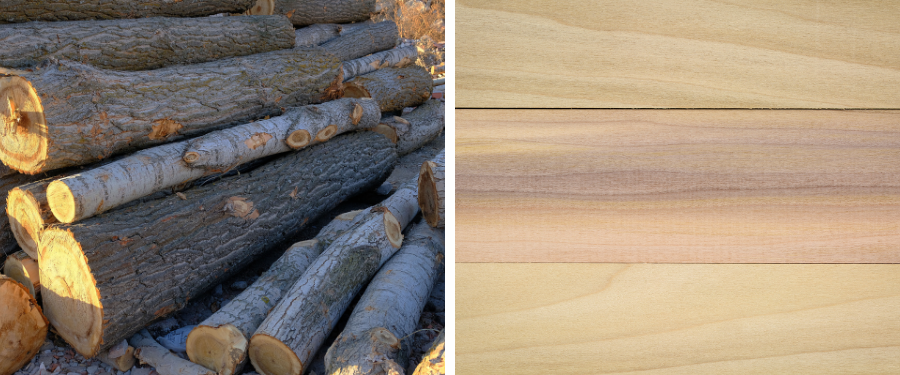 Aserraderos especializados en madera de chopo