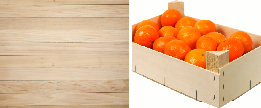Proveedores de madera de chopo y formatos chopo en rollo tablas chapa