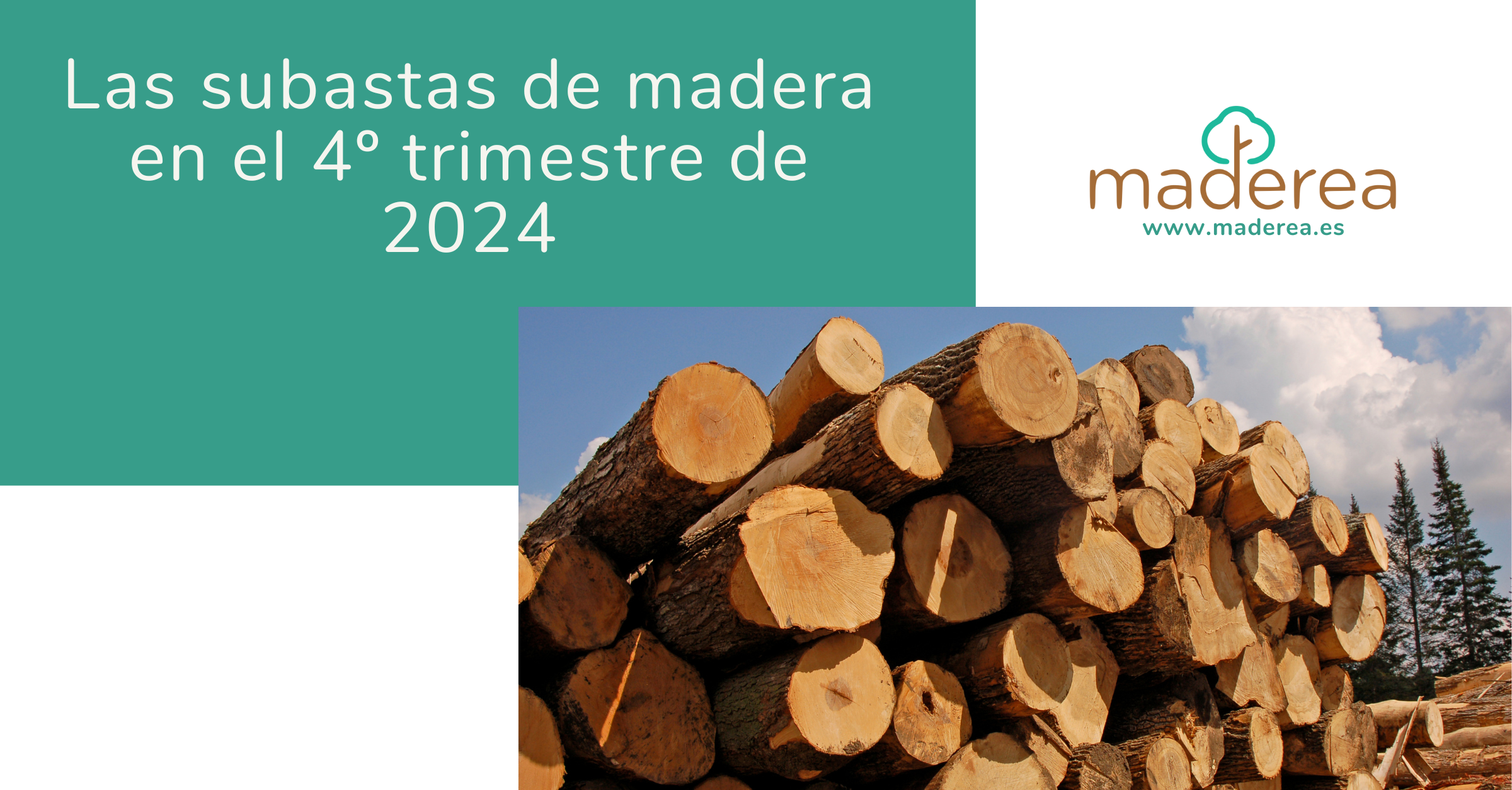 cabecera noticias maderea