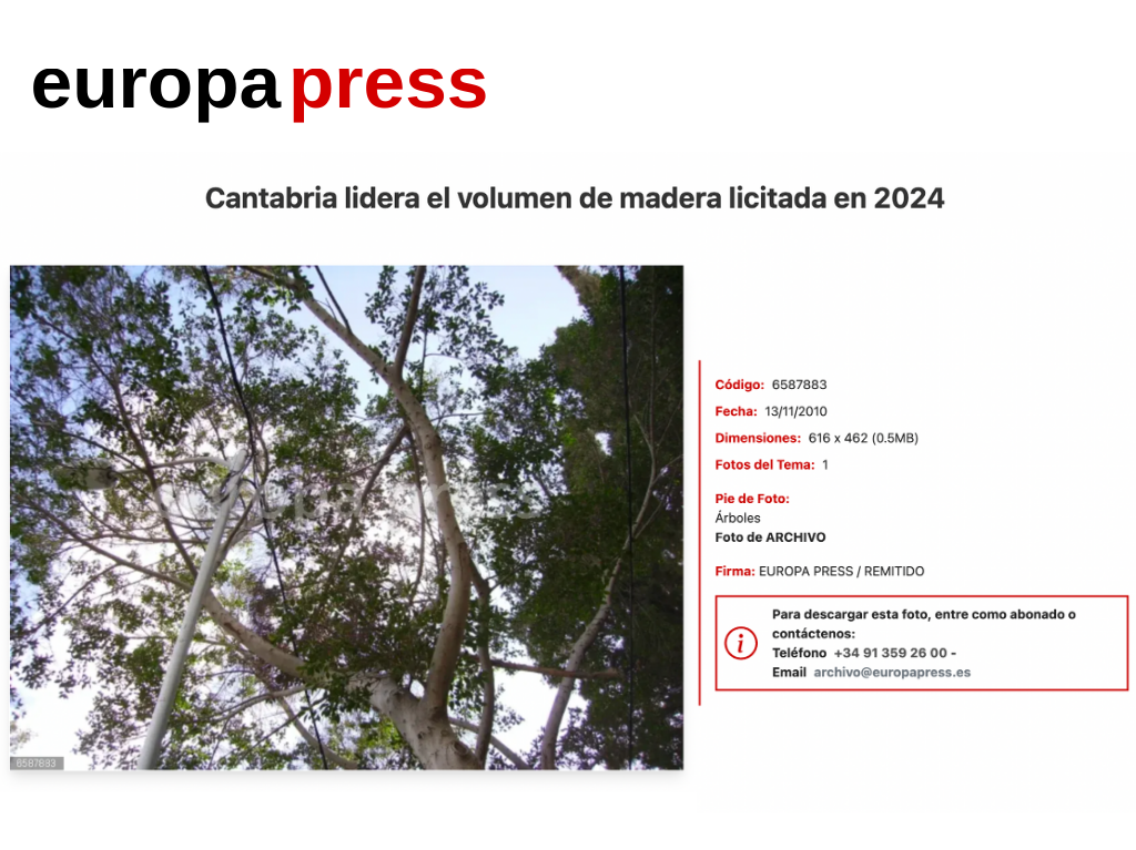 Cantabria lidera el volumen de madera licitada en 2024